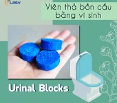 Viên Thả Bồn Cầu Bằng Vi Sinh Urinal Blocks